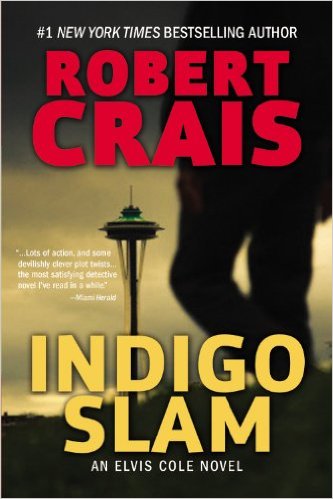 Indigo Slam Book Cover