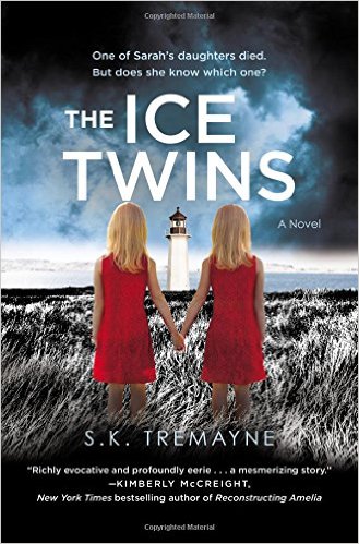 2016: The Ice Twins (S.K. Tremayne)