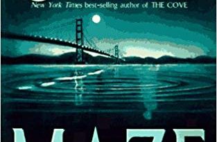 The Maze by Catherine Coulter