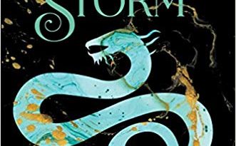 Siege and Storm by Leigh Bardugo