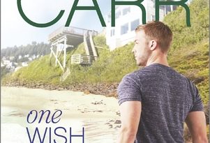 One Wish by Robyn Carr